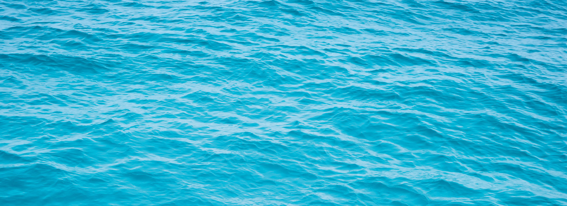 Land For Sale Newcastle Lake Macquarie Real Estate Billy's Lookout